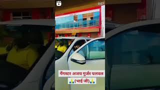 💪गैंगस्टर अजय गुर्जर पलवल (🙏भाई जी🙏)का भाईचारा और🚘 कार काफिला🚘