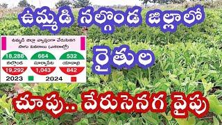 ఉమ్మడి నల్గొండ జిల్లాలో రైతుల చూపు.. వేరుసెనగ వైపు