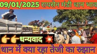 रायसेन धान || Raisen mandi bhav today || Raisen mandi dhan ka rate || Raisen mandi bhav || Farmer38