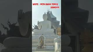 Meta Budha Temple Bodhgaya vlogs