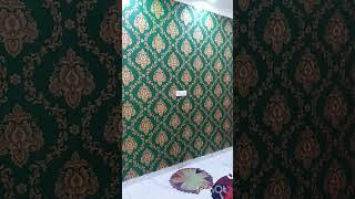 हमारे द्वारा वॉलपेपर का किया गया कार्य झाँसी मे #luxury #wallpaperdesign #jhansi #viral 📲6391821590👍