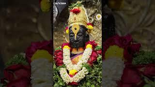 श्री विठ्ठलरुक्मिणी दर्शन | गुरुवार २६/०९/२०२४ vitthalrukmini | pandharpur |