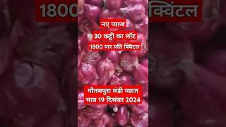 गौतमपुरा मंडी प्याज भाव 19 दिसंबर 2024