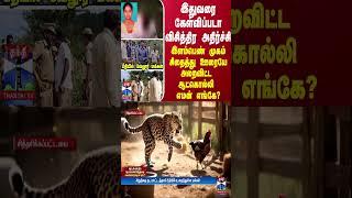 இதுவரை கேள்விப்படா விசித்திரம்... முகம் சிதைத்து ஊரை அலறவிட்ட எமன் எங்கே? பீதியில் வேலூர் மக்கள்