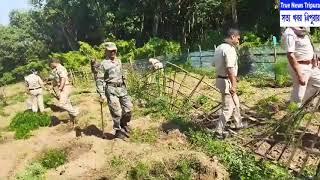 গাঁজা বাগান ধ্বং/স অভিযানে বিশালগড় থানার পুলিশ।