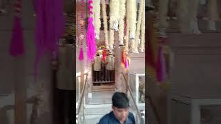 Allow video and audio remixing # Jai Mata Di Mansa Devi Mandir Fatehpur pundri 🙏🙏🙏🙏🙏