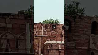 Agra Fort Mughal kila