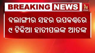 ବଲାଙ୍ଗୀର ସହରରେ ୯ ଟିକିଆ ହାତୀପଲଙ୍କ ଆତଙ୍କ | nandighoshatv