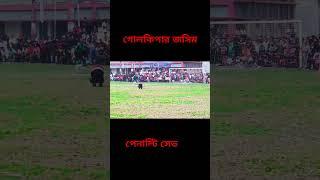 গোলকিপার জসিম পেনাল্টি সেভ। চাঁদমুহা সরলপুর হাইস্কুল মাঠ। বগুড়া সদর বগুড়া।