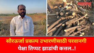 BULDHANA NEWS : सौरऊर्जा प्रकल्प उभारणीसाठी परवानगी पेक्षा तिप्पट झाडांची कत्तल | MARATHI NEWS