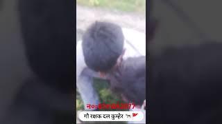 गौ रक्षक दल कुम्हेर #shorts #shortvideo #shortsviral #shortfeed #