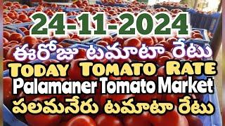 పలమనేరు 🍅🍅🍅టమాటో మార్కెట్ ధరలు 24-11-2024 ||ఈ రోజు టమోటా ధర Palamaner Market||ckgowthamvlogs