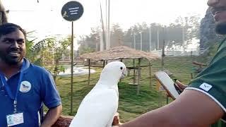 Daman  birds 🐦ll daman city ll