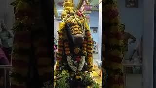 திருப்பூர் ஈஸ்வரன் கோவில் பிரதோஷம் வழிபாடு