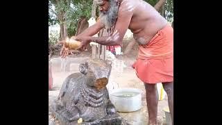 Om namah shivaya namaha pradosham poojai videos Madurai vellapatti