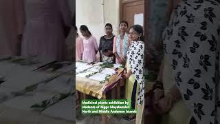 Medicinal plants exhibition by students of Mggc Mayabunder North and Middle Andaman