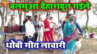 बलमुआ देहरादून गईले | न्यू भोजपुरी धोबी गीत | New Bhojpuri Dhobi Geet Lachari Video Sng 2025 |