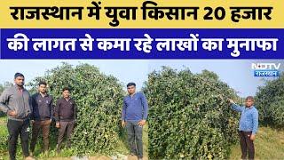 Rajasthan में Young Farmer 20 हजार की लागत से कमा रहे लाखों का मुनाफा | Viral Videos | Latest News