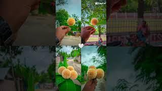 কদম ফুল 🌼।sorttiktokviralvidio