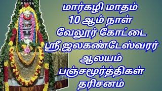 வேலூர் கோட்டை ஶ்ரீ ஜலகண்டேஸ்வரர் ஆலயம் 25/12/24 பஞ்சமூர்த்திகள் தரிசனம் 61 ஆம் நாள் / 9