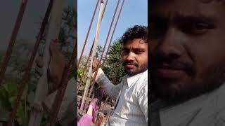 #funny #masti #funnyshorts #song ok Nahash Rupoli Bisfi Madhubani Bihar ok pappu Paremi ji ok