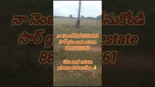 వనపర్తి అగ్రికల్చర్ ల్యాండ్ ఫర్ సేల్ please subscribe 🙏