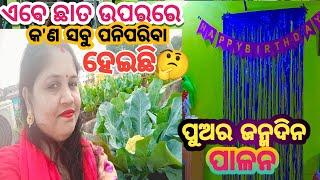 ରାଉରକେଲା ଛାତ🥦 ଉପରରେ ଏବେ କ'ଣ କ'ଣ ପନିପରିବା🍆 ହେଇଛି🍅/ପୁଅର ଜନ୍ମଦିନ କେମିତି ହେଲା/   Rinaofficial127🙏