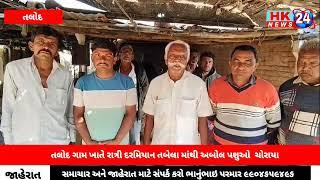 તલોદ ગામ ખાતે રાત્રી દરમિયાન  તબેલા માંથી  અબોલ પશુઓ  ચોરાયા