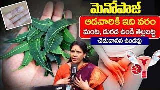 ఆడవాళ్ళకి మెనోపాజ్ లో వచ్చే మంట, దురద ఉండి తెల్లబట్ట ఈ ఆకుతో మాయం || Vaginal Itching || Aruna Yoga