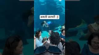 Real Jalpari | असली जलपरी🧜‍♀️ | Jalpari video raigarh