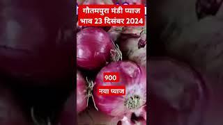 गौतमपुरा मंडी प्याज भाव दिसंबर 2024