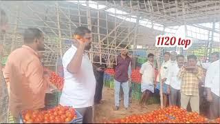 MADANAPALLI TOMATO MARKET PRICES