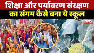 Dhamtari News:  Education और Environment conservation का संगम कैसे बना ये स्कूल |  Latest News