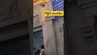 మంత్రాలయం గోల్డెన్ మండపం