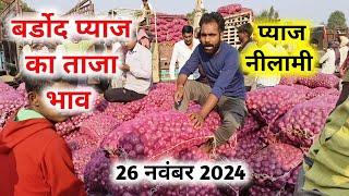 26 नवंबर 2024 बर्डोद बहरोड़ प्याज कि नीलामी | बर्डोद मंडी में प्याज भाव | Bardod behrod rajasthan