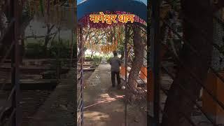 नागेश्वर धाम रामकोट