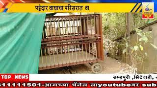 4 December 2024 SearchTv News Chandrapur वाघाला जेरबंद करण्यासाठी राळेगाव  रीठ  शिवारात लावला पिंजरा