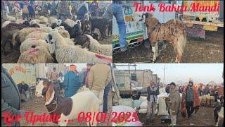 ठंडी मे टोंक बकरा मंडी 😶‍🌫️ , TONK BAKRA MANDI LIVE UPDATE 08/01/2025 🦙🐐 BY #PathanFarmHouse ... 😇