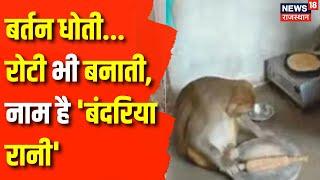 UP Raibareli Viral News : घर में इंसानों की तरह रहती है बंदरिया | Viral News | UP News | Latest News