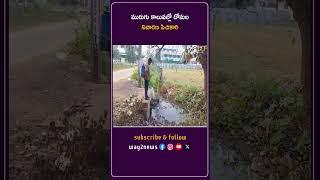 మురుగు కాలువల్లో దోమల నివారణ పిచికారి | Krishna | Andhra Pradesh | Way2news Telugu