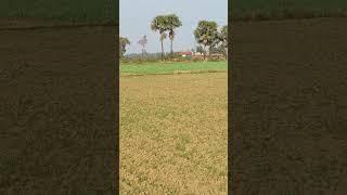 Patna Bihar 4 bigha ka plot hai near daniyawan nh 30 alag pe plot hai 8936814507