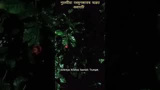 পুহমহীয়া বৰষুণজাকৰ অন্তত, গুৱাহাটী