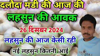 दलौदा मंडी आज की लहसुन आवक 26 दिसंबर 2024 |garlic arrival today daloda Mandi