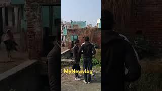 गांव हरसौली पुलिया के पास का दर्शय