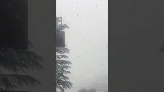 # Heavy Snow fall dalhousie chamba