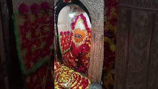 जय मां हरसिद्धि देवी मंदिर रानगिर सागर मध्य प्रदेश 🌺 संध्याकालीन आरती दर्शन 🌺 10/01/2025