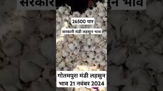 गोतमपुरा मंडी लहसुन भाव 21 नवंबर 2024