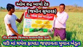 ગામ સાનાં વાકિયા તાલુકો ગીર ગઢડા જી ગીર સોમનાથ ધઉં ની ખેતી