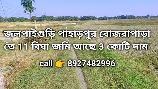 land sell জলপাইগুড়ি পাহাড়পুর বোজরাপাড়া তে জামি বিক্রি হব ১১ বিঘা ৩ কোটি টাকা