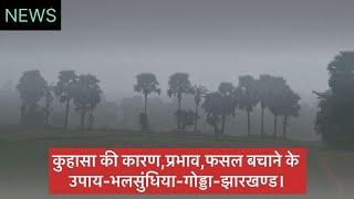 कुहासा का कारण-प्रभाव-फसल बचाने के उपाय-भलसुंधिया- गोड्डा-झारखण्ड।